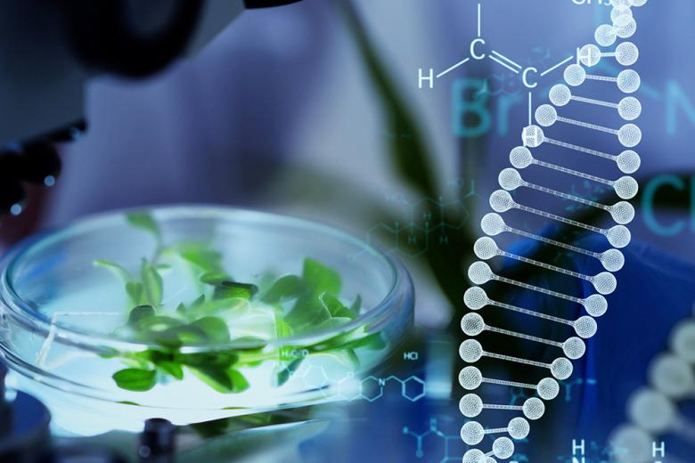 Plant functional genomics