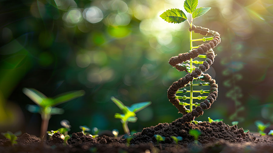 Applied plant genomics